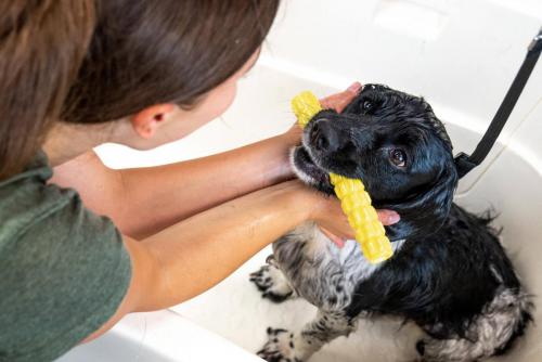 Gruffs Groomers-1