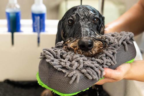Gruffs Groomers-5